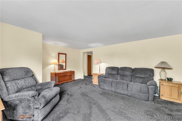 249 Dunlop Ave, Tonawanda, NY 14150 - photo 11