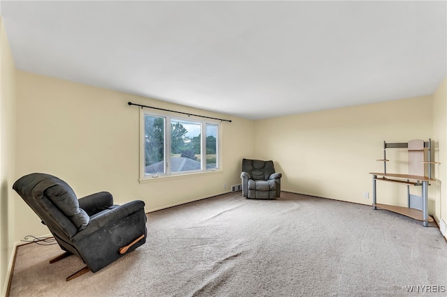 249 Dunlop Ave, Tonawanda, NY 14150 - photo 34