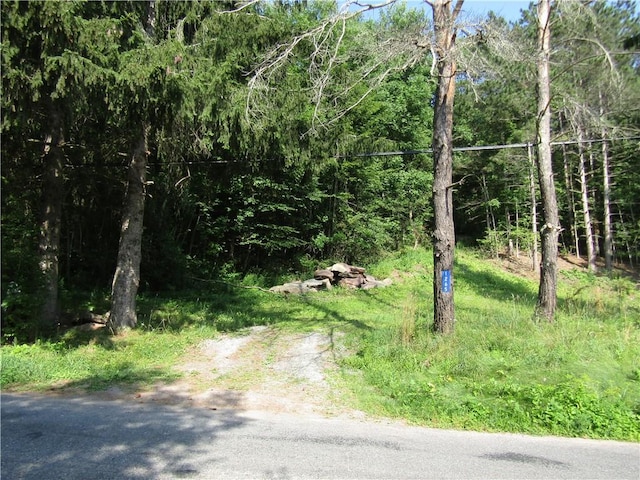 1265 Meeker Hollow Rd, Roxbury, NY 12474 - photo 2