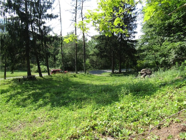 1265 Meeker Hollow Rd, Roxbury, NY 12474 - photo 9