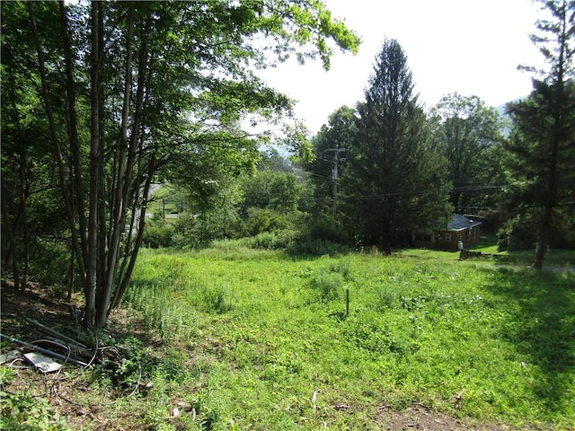 1265 Meeker Hollow Rd, Roxbury, NY 12474 - photo 10