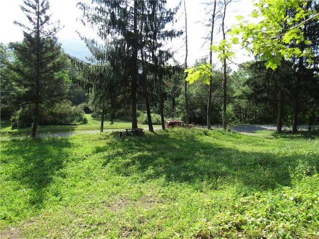 1265 Meeker Hollow Rd, Roxbury, NY 12474 - photo 11