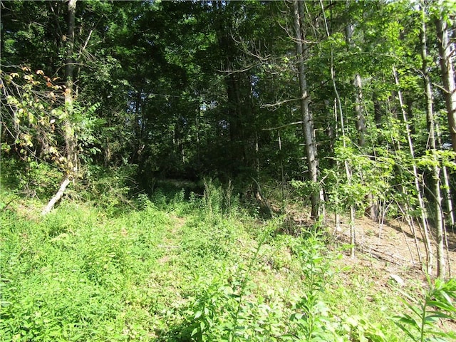 1265 Meeker Hollow Rd, Roxbury, NY 12474 - photo 13