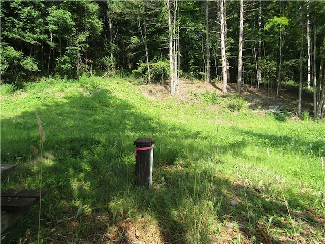 1265 Meeker Hollow Rd, Roxbury, NY 12474 - photo 14