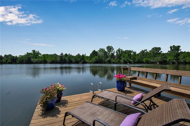 106 N Shore Dr, Bennington, NY 14004 - photo 6