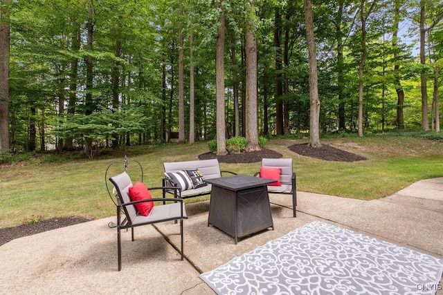 135 Fireside Ln, Camillus, NY 13031 - photo 47