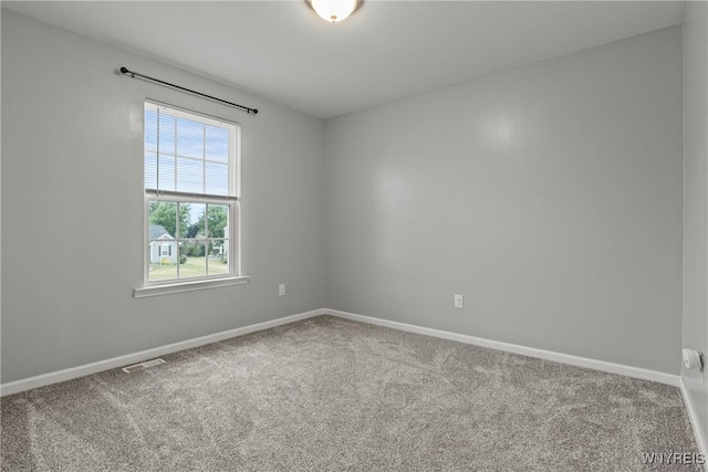 4593 Logans Ln, Hamburg, NY 14075 - photo 28