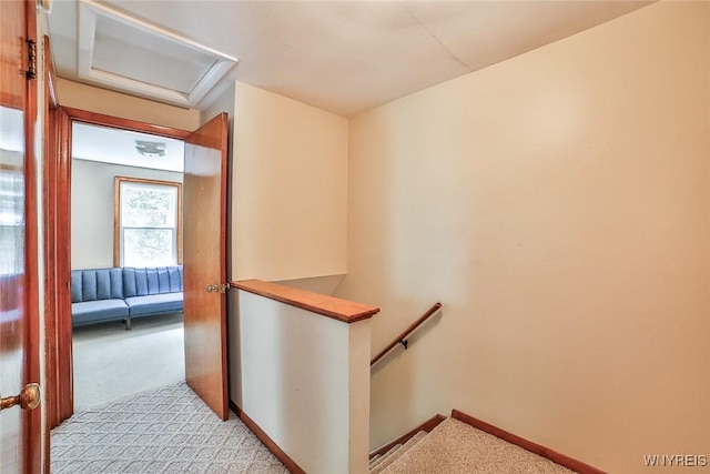17 Bink St, Cheektowaga, NY 14227 - photo 35