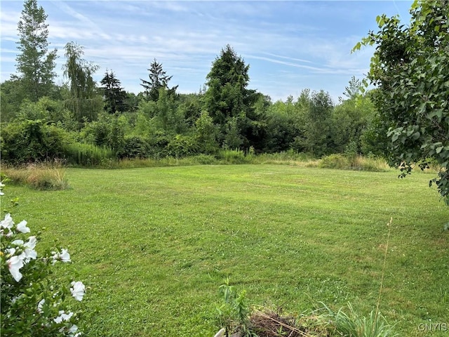11448 Ridge Rd, Huron, NY 14590 - photo 6