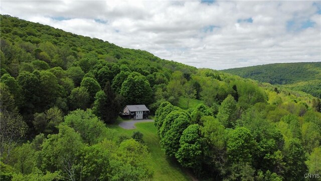 5984 Dresserville Rd, Sempronius, NY 13118 - photo 12