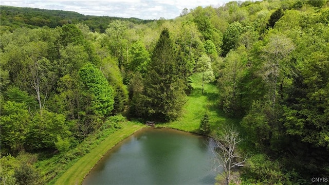 5984 Dresserville Rd, Sempronius, NY 13118 - photo 5