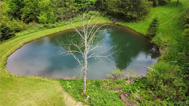 5984 Dresserville Rd, Sempronius, NY 13118 - photo 6