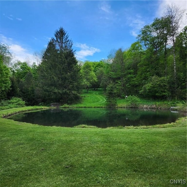 5984 Dresserville Rd, Sempronius, NY 13118 - photo 9