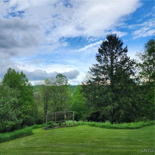 5984 Dresserville Rd, Sempronius, NY 13118 - photo 10