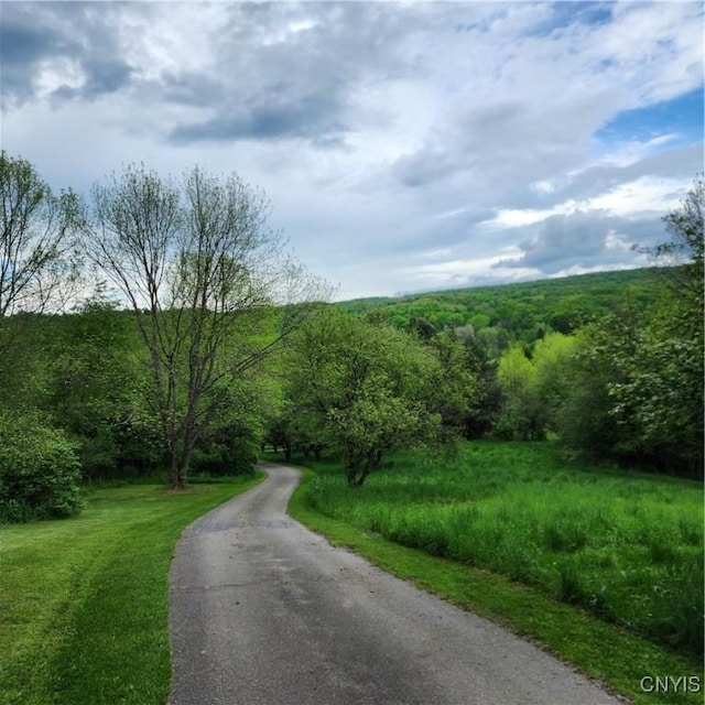 5984 Dresserville Rd, Sempronius, NY 13118 - photo 13