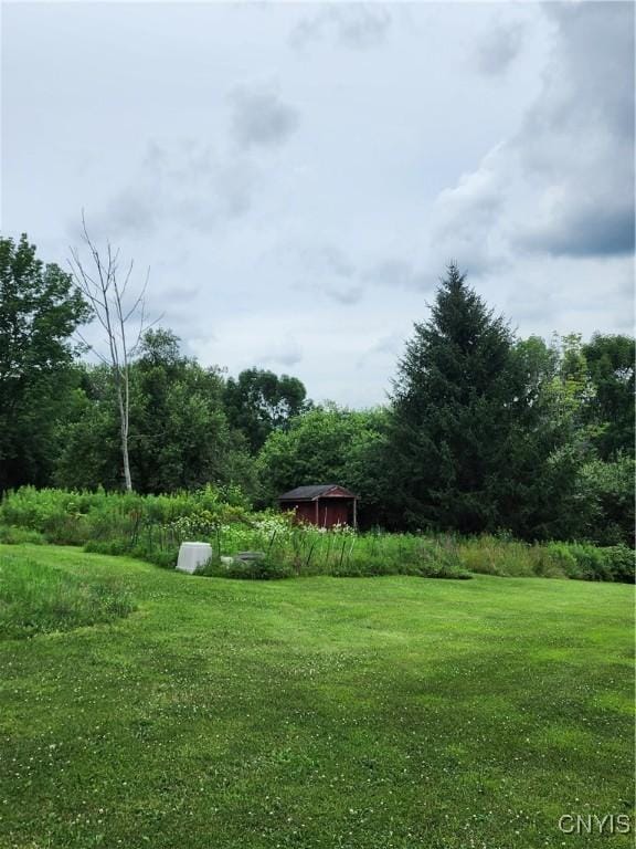 5984 Dresserville Rd, Sempronius, NY 13118 - photo 43