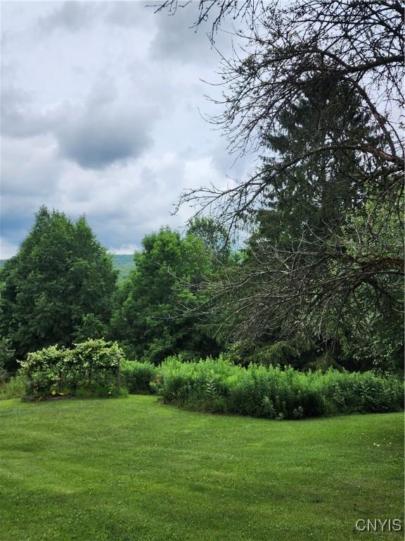 5984 Dresserville Rd, Sempronius, NY 13118 - photo 46