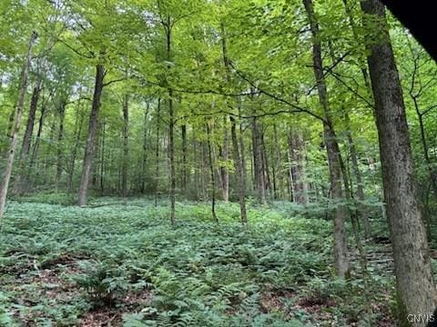 5984 Dresserville Rd, Sempronius, NY 13118 - photo 50