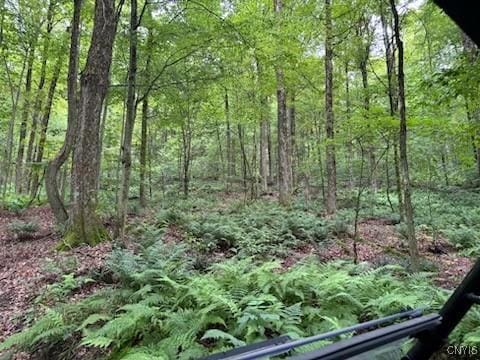 5984 Dresserville Rd, Sempronius, NY 13118 - photo 44