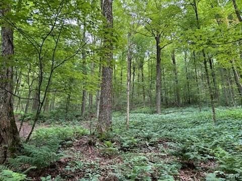 5984 Dresserville Rd, Sempronius, NY 13118 - photo 15