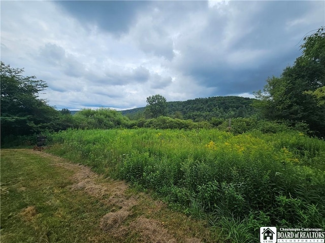 5705 County Road 38, Alma, NY 14708 - photo 38