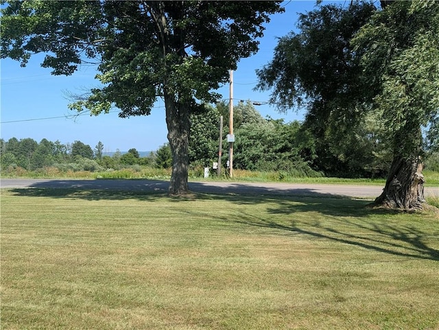 5594 Middle Rd, Canadice, NY 14466 - photo 17