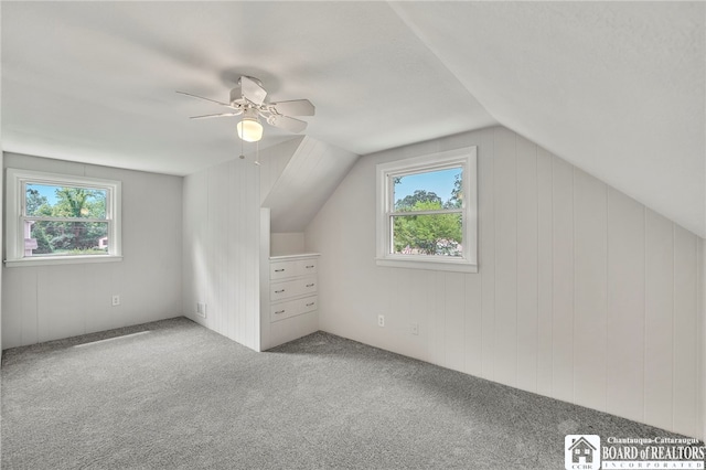 3819 Cornell St, Hamburg, NY 14075 - photo 18