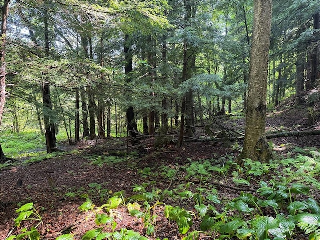 8722 State Route 417, Genesee, NY 14754 - photo 27