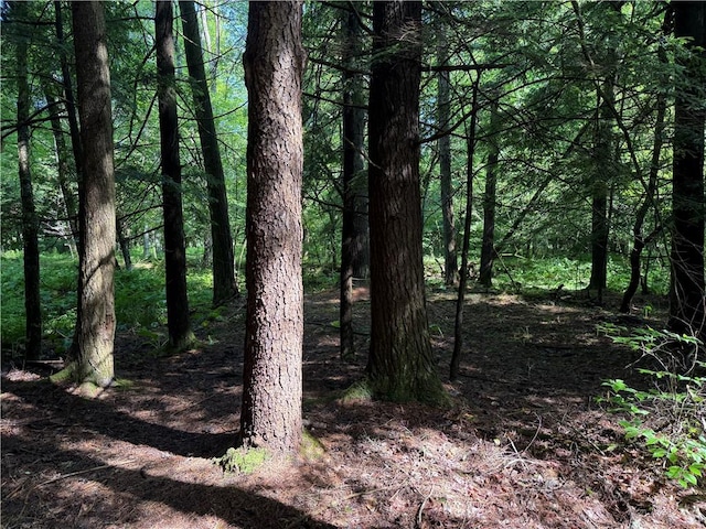 8722 State Route 417, Genesee, NY 14754 - photo 29
