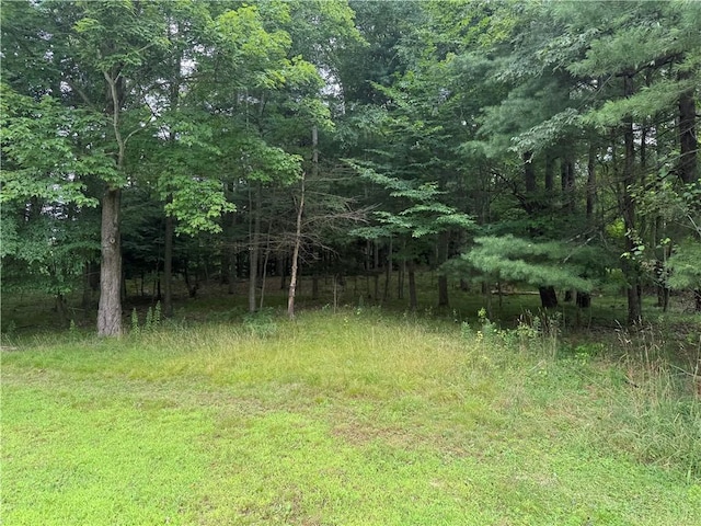 8722 State Route 417, Genesee, NY 14754 - photo 33