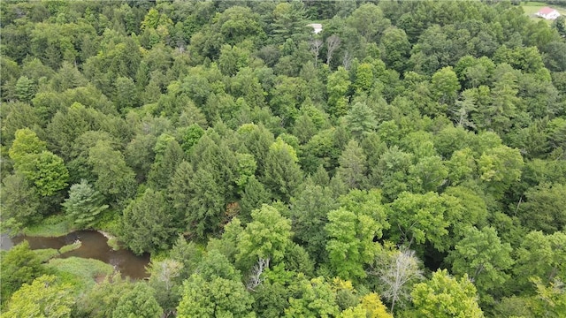 8722 State Route 417, Genesee, NY 14754 - photo 37