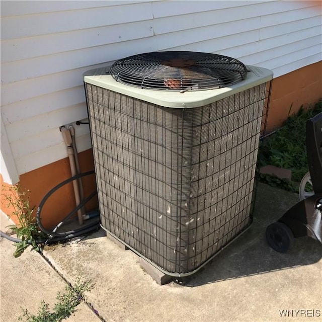 780 Tifft St, Buffalo, NY 14220 - photo 7