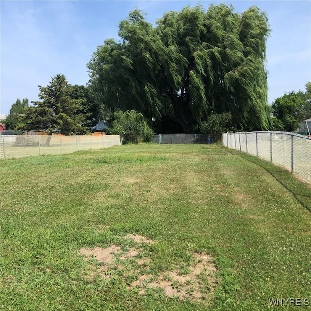 780 Tifft St, Buffalo, NY 14220 - photo 10