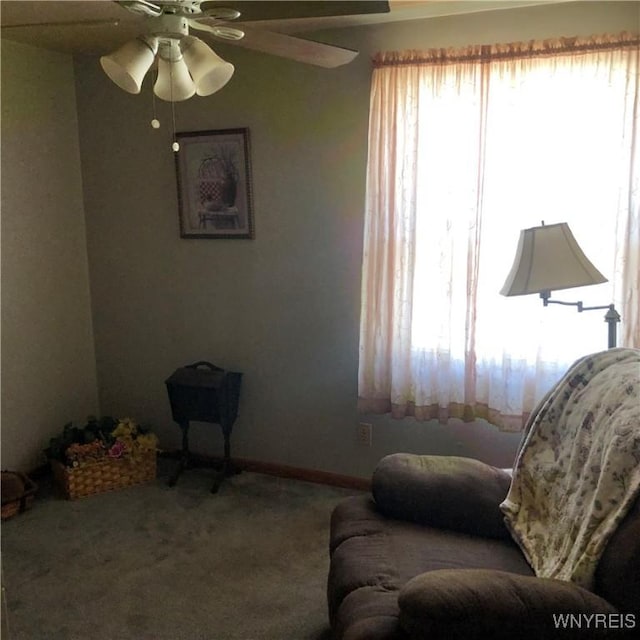 780 Tifft St, Buffalo, NY 14220 - photo 25