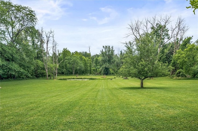4805 W Ridge Rd, Parma, NY 14559 - photo 17