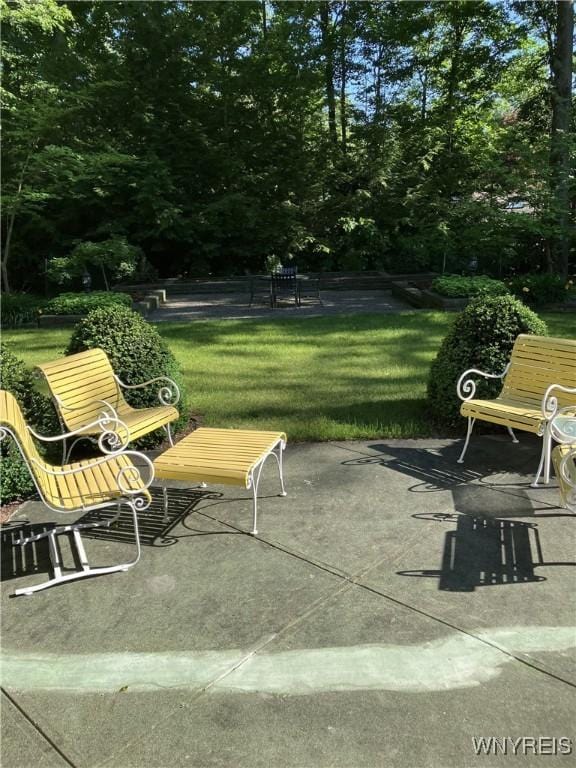 205 Christopher Ln, Ithaca Town, NY 14850 - photo 5