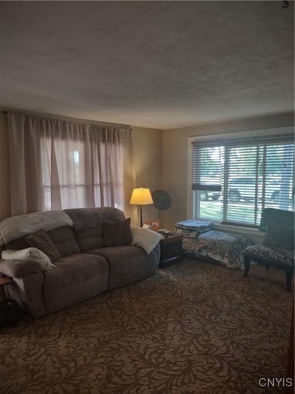 6904 Larkin St, Salina, NY 13088 - photo 7