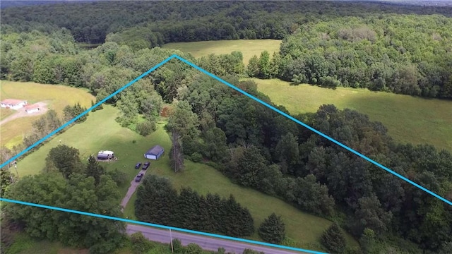 778 Hammerle Rd, Mc Donough, NY 13830 - photo 6
