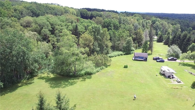 778 Hammerle Rd, Mc Donough, NY 13830 - photo 33