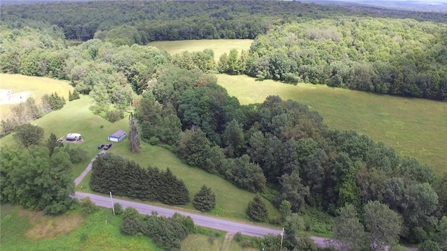 778 Hammerle Rd, Mc Donough, NY 13830 - photo 35