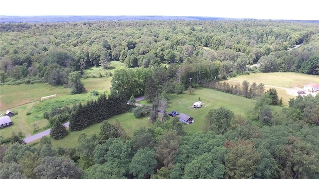 778 Hammerle Rd, Mc Donough, NY 13830 - photo 36