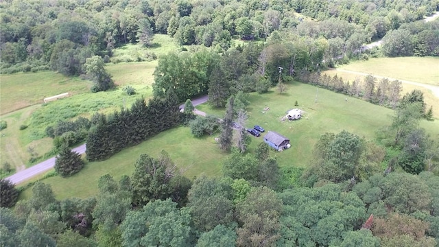 778 Hammerle Rd, Mc Donough, NY 13830 - photo 38