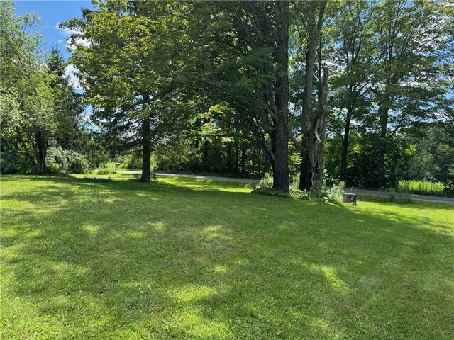 778 Hammerle Rd, Mc Donough, NY 13830 - photo 40