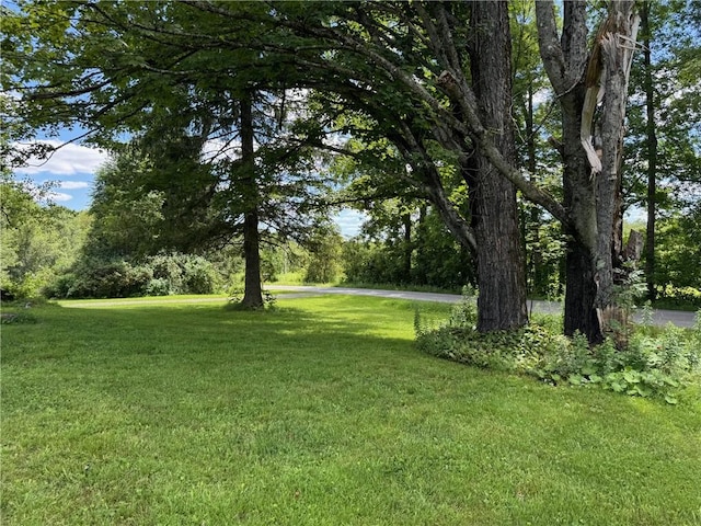 778 Hammerle Rd, Mc Donough, NY 13830 - photo 41