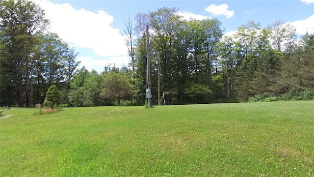 778 Hammerle Rd, Mc Donough, NY 13830 - photo 42