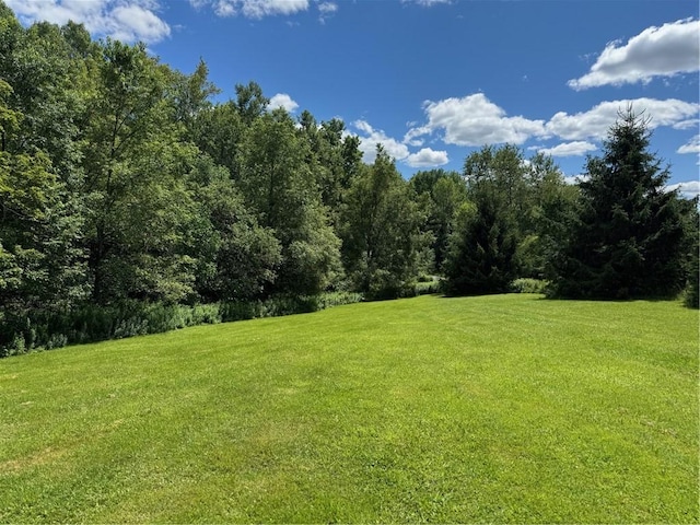 778 Hammerle Rd, Mc Donough, NY 13830 - photo 44