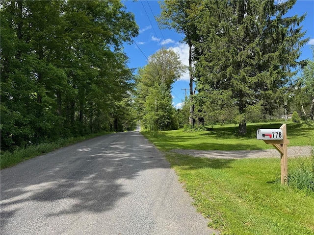 778 Hammerle Rd, Mc Donough, NY 13830 - photo 45