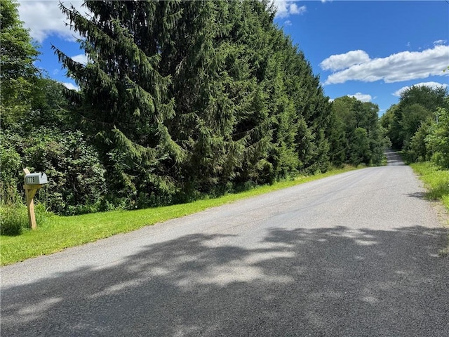 778 Hammerle Rd, Mc Donough, NY 13830 - photo 46