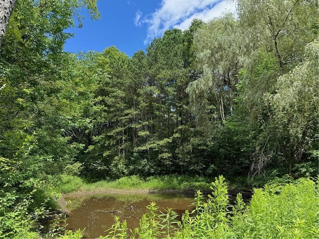 778 Hammerle Rd, Mc Donough, NY 13830 - photo 47