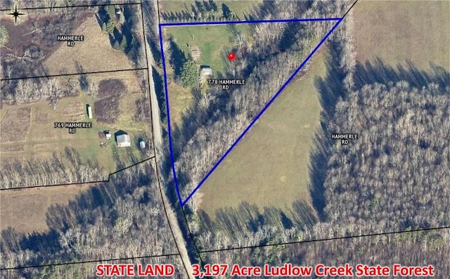 778 Hammerle Rd, Mc Donough, NY 13830 - photo 49